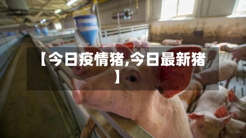 【今日疫情猪,今日最新猪】-第2张图片