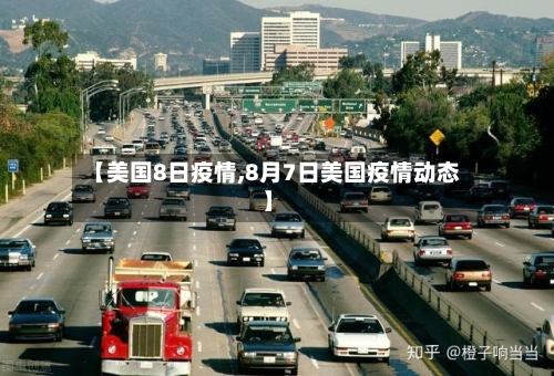 【美国8日疫情,8月7日美国疫情动态】-第2张图片