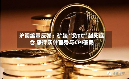 沪铜缩量反弹：矿端“负TC”封死底仓 静待沃什首秀与CPI破局-第2张图片